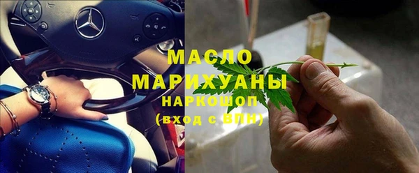 крисы Бородино
