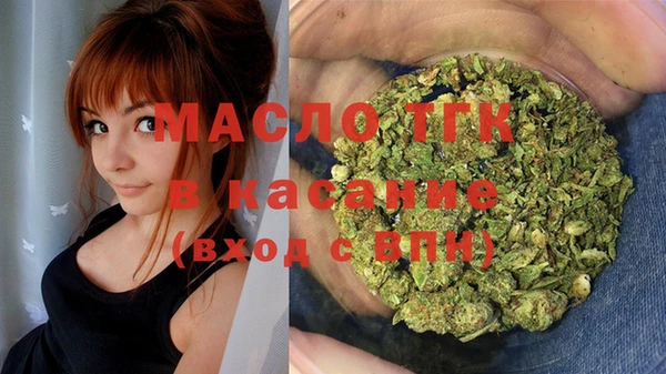 крисы Бородино