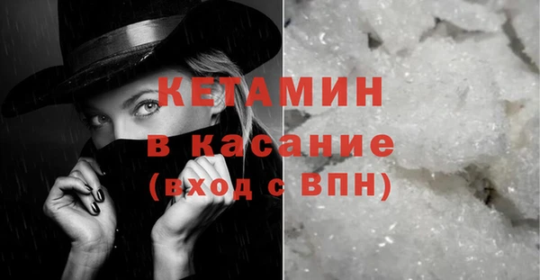 крисы Бородино