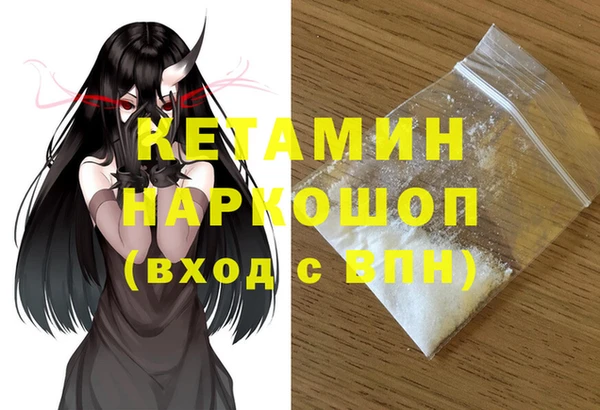 крисы Бородино
