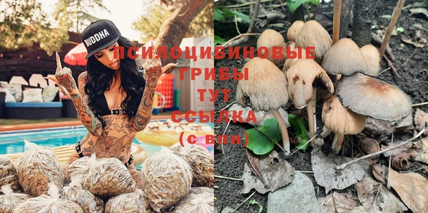 соль курить ск Бронницы