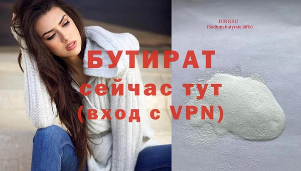крисы Бородино