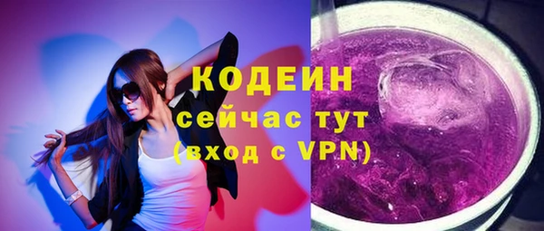 крисы Бородино