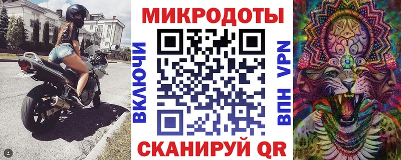 Галлюциногенные грибы Psilocybine cubensis Ужур